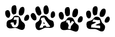 The image shows a series of animal paw prints arranged horizontally. Within each paw print, there's a letter; together they spell Jayz