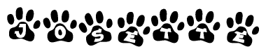 The image shows a series of animal paw prints arranged horizontally. Within each paw print, there's a letter; together they spell Josette