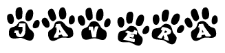 The image shows a series of animal paw prints arranged in a horizontal line. Each paw print contains a letter, and together they spell out the word Javera.