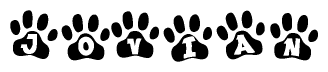 The image shows a series of animal paw prints arranged in a horizontal line. Each paw print contains a letter, and together they spell out the word Jovian.