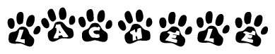 The image shows a row of animal paw prints, each containing a letter. The letters spell out the word Lachele within the paw prints.