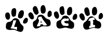 The image shows a series of animal paw prints arranged in a horizontal line. Each paw print contains a letter, and together they spell out the word Laci.