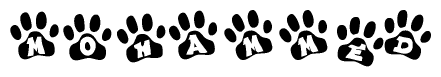 The image shows a series of animal paw prints arranged in a horizontal line. Each paw print contains a letter, and together they spell out the word Mohammed.