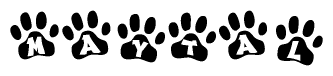 The image shows a series of animal paw prints arranged in a horizontal line. Each paw print contains a letter, and together they spell out the word Maytal.