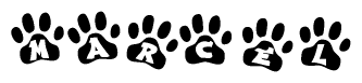 The image shows a series of animal paw prints arranged horizontally. Within each paw print, there's a letter; together they spell Marcel