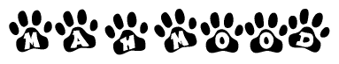 The image shows a series of animal paw prints arranged horizontally. Within each paw print, there's a letter; together they spell Mahmood