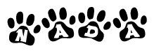 The image shows a series of animal paw prints arranged horizontally. Within each paw print, there's a letter; together they spell Nada