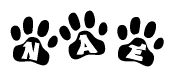 The image shows a row of animal paw prints, each containing a letter. The letters spell out the word Nae within the paw prints.