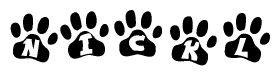 The image shows a series of animal paw prints arranged in a horizontal line. Each paw print contains a letter, and together they spell out the word Nickl.
