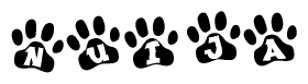 The image shows a series of animal paw prints arranged in a horizontal line. Each paw print contains a letter, and together they spell out the word Nuija.