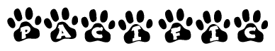 The image shows a row of animal paw prints, each containing a letter. The letters spell out the word Pacific within the paw prints.