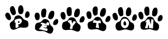The image shows a series of animal paw prints arranged horizontally. Within each paw print, there's a letter; together they spell Peyton
