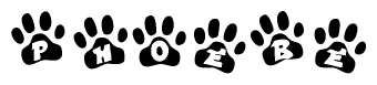 The image shows a series of animal paw prints arranged horizontally. Within each paw print, there's a letter; together they spell Phoebe