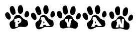 The image shows a row of animal paw prints, each containing a letter. The letters spell out the word Pavan within the paw prints.
