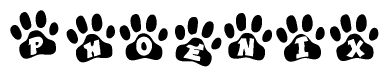 The image shows a series of animal paw prints arranged in a horizontal line. Each paw print contains a letter, and together they spell out the word Phoenix.