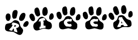 The image shows a series of animal paw prints arranged in a horizontal line. Each paw print contains a letter, and together they spell out the word Ricca.