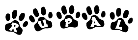 The image shows a series of animal paw prints arranged in a horizontal line. Each paw print contains a letter, and together they spell out the word Rupal.