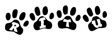 The image shows a row of animal paw prints, each containing a letter. The letters spell out the word Ritu within the paw prints.
