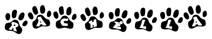 The image shows a row of animal paw prints, each containing a letter. The letters spell out the word Rachella within the paw prints.