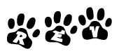 The image shows a row of animal paw prints, each containing a letter. The letters spell out the word Rev within the paw prints.