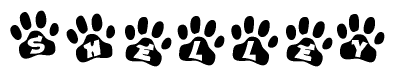 The image shows a series of animal paw prints arranged horizontally. Within each paw print, there's a letter; together they spell Shelley