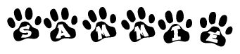 The image shows a series of animal paw prints arranged horizontally. Within each paw print, there's a letter; together they spell Sammie