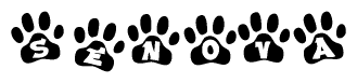 The image shows a row of animal paw prints, each containing a letter. The letters spell out the word Senova within the paw prints.