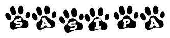 The image shows a series of animal paw prints arranged horizontally. Within each paw print, there's a letter; together they spell Sasipa