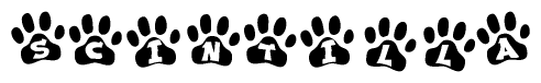 The image shows a series of animal paw prints arranged in a horizontal line. Each paw print contains a letter, and together they spell out the word Scintilla.