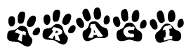 The image shows a series of animal paw prints arranged in a horizontal line. Each paw print contains a letter, and together they spell out the word Traci.