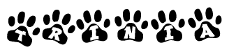 The image shows a row of animal paw prints, each containing a letter. The letters spell out the word Trinia within the paw prints.