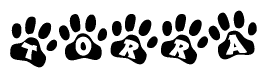 The image shows a row of animal paw prints, each containing a letter. The letters spell out the word Torra within the paw prints.