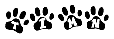 The image shows a series of animal paw prints arranged in a horizontal line. Each paw print contains a letter, and together they spell out the word Timn.