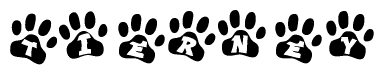 The image shows a row of animal paw prints, each containing a letter. The letters spell out the word Tierney within the paw prints.