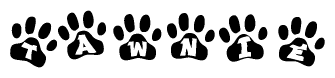 The image shows a series of animal paw prints arranged horizontally. Within each paw print, there's a letter; together they spell Tawnie