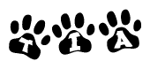 The image shows a row of animal paw prints, each containing a letter. The letters spell out the word Tia within the paw prints.