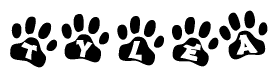The image shows a series of animal paw prints arranged horizontally. Within each paw print, there's a letter; together they spell Tylea