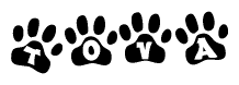 The image shows a series of animal paw prints arranged in a horizontal line. Each paw print contains a letter, and together they spell out the word Tova.
