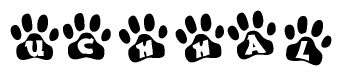 The image shows a series of animal paw prints arranged in a horizontal line. Each paw print contains a letter, and together they spell out the word Uchhal.
