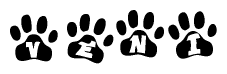 The image shows a series of animal paw prints arranged in a horizontal line. Each paw print contains a letter, and together they spell out the word Veni.