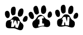 The image shows a series of animal paw prints arranged in a horizontal line. Each paw print contains a letter, and together they spell out the word Win.