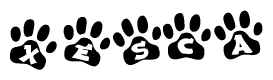The image shows a series of animal paw prints arranged in a horizontal line. Each paw print contains a letter, and together they spell out the word Xesca.