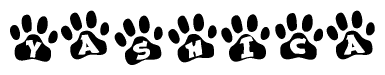 The image shows a series of animal paw prints arranged in a horizontal line. Each paw print contains a letter, and together they spell out the word Yashica.