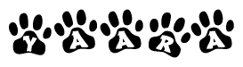 The image shows a series of animal paw prints arranged in a horizontal line. Each paw print contains a letter, and together they spell out the word Yaara.