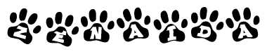 The image shows a series of animal paw prints arranged in a horizontal line. Each paw print contains a letter, and together they spell out the word Zenaida.