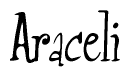 The image is a stylized text or script that reads 'Araceli' in a cursive or calligraphic font.