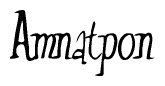 The image is of the word Amnatpon stylized in a cursive script.