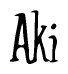 The image is of the word Aki stylized in a cursive script.