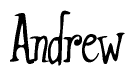 The image contains the word 'Andrew' written in a cursive, stylized font.