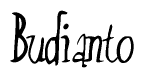The image is of the word Budianto stylized in a cursive script.